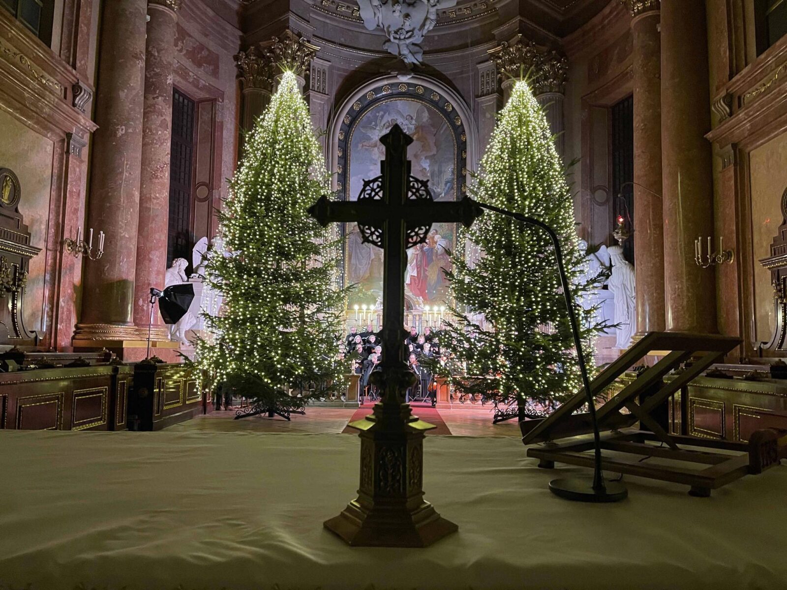 2025 01 28 VOX Savariae